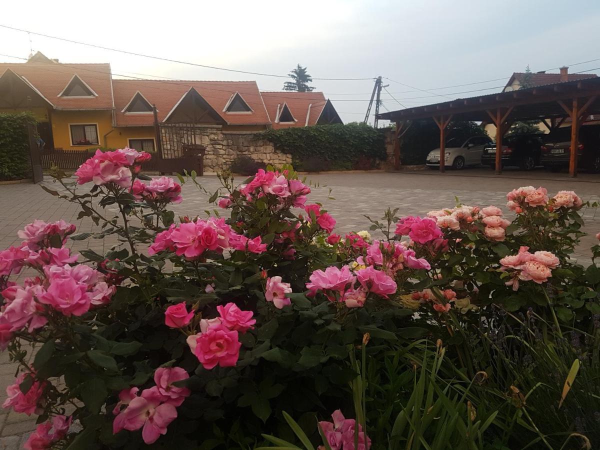 Huber Panzio Bed & Breakfast Fertőrákos Dış mekan fotoğraf