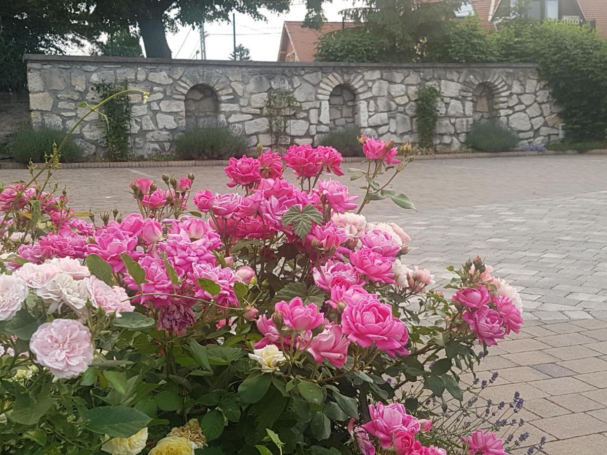 Huber Panzio Bed & Breakfast Fertőrákos Dış mekan fotoğraf