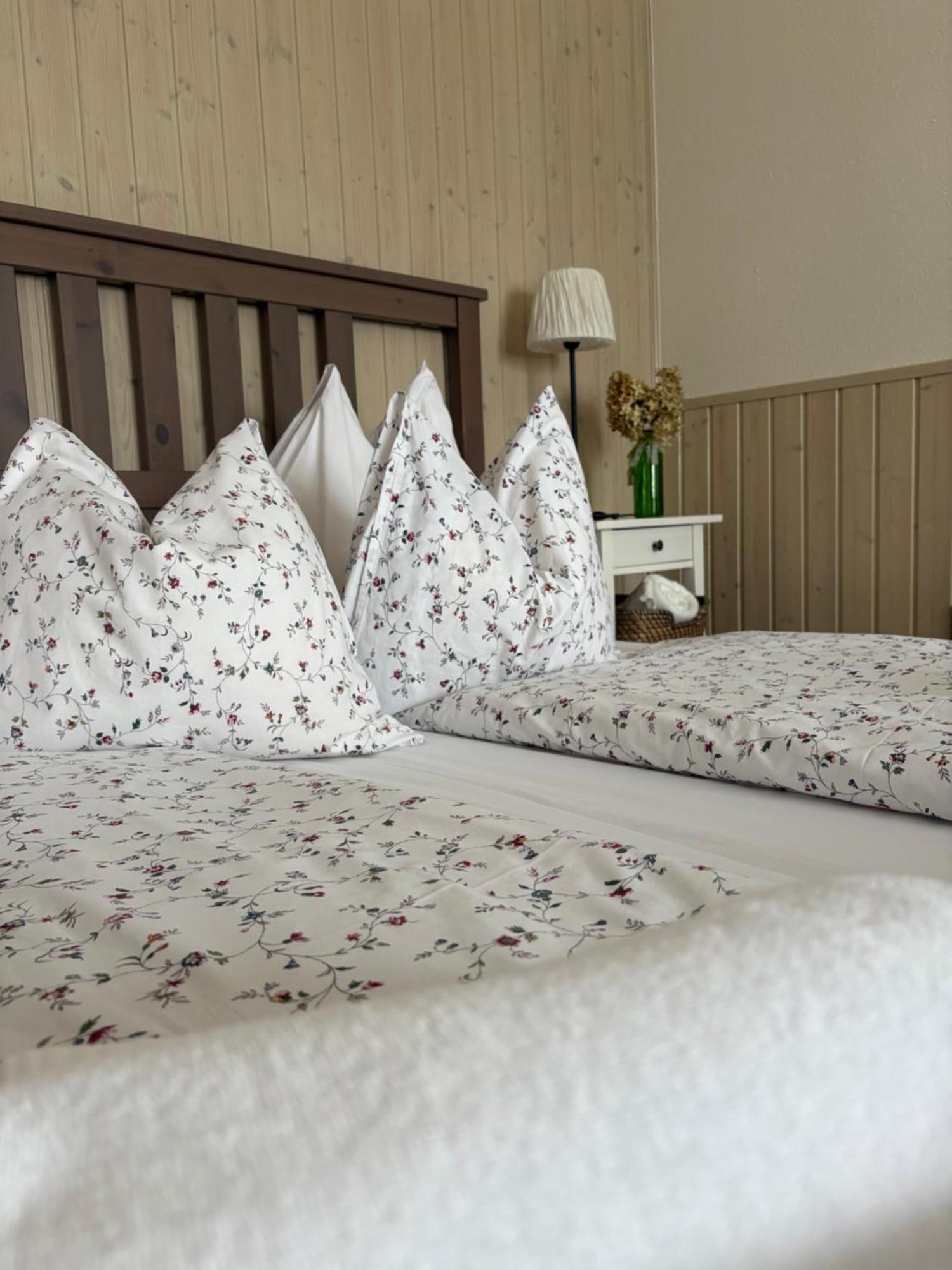 Huber Panzio Bed & Breakfast Fertőrákos Dış mekan fotoğraf