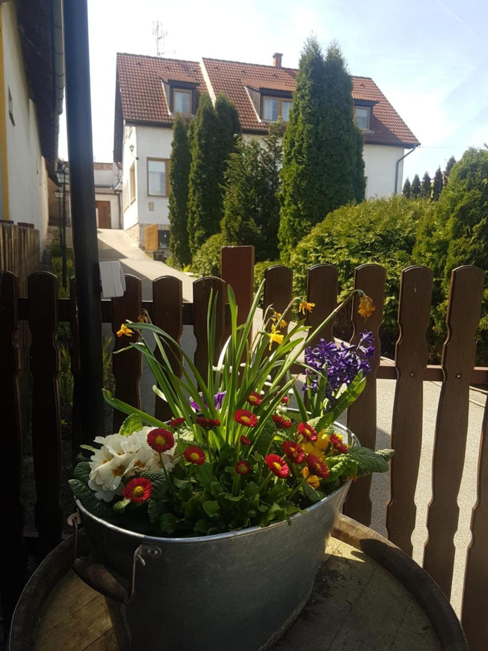 Huber Panzio Bed & Breakfast Fertőrákos Dış mekan fotoğraf