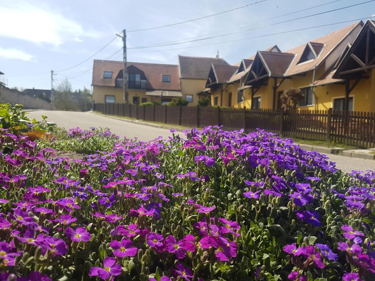 Huber Panzio Bed & Breakfast Fertőrákos Dış mekan fotoğraf